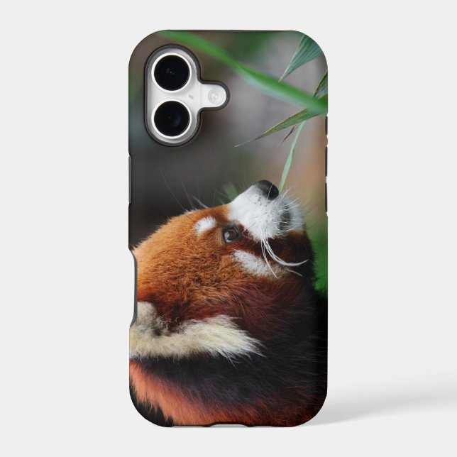 Red panda iphone case (Back)