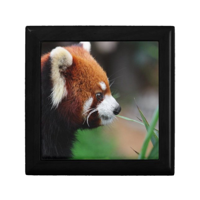 Red panda jewelry box (Front)