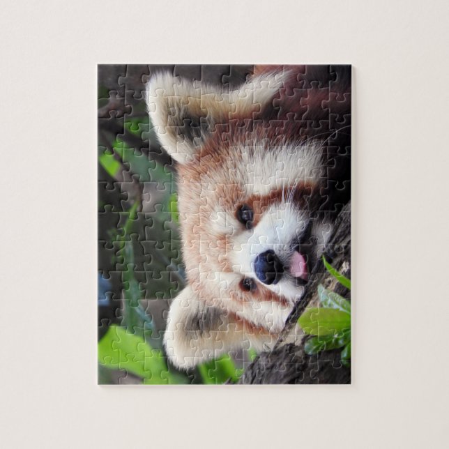 Red Panda Jigsaw Puzzle (Vertical)