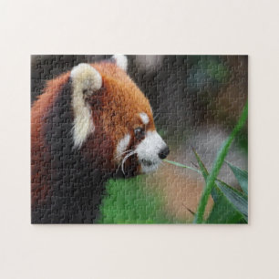 Red panda jigsaw puzzle