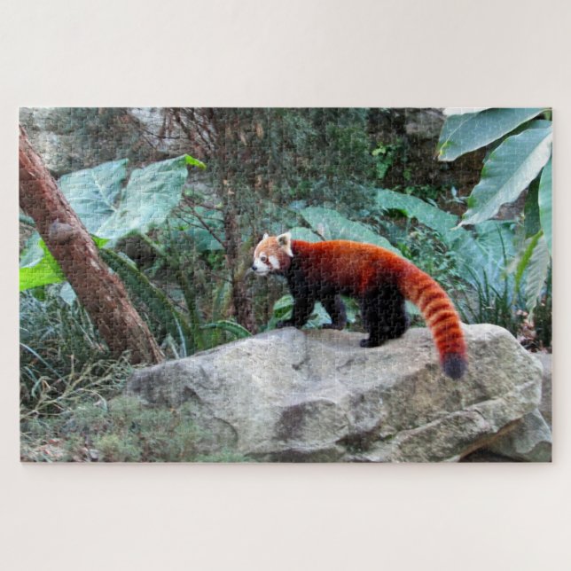 red panda jigsaw puzzle (Horizontal)