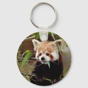 Red Panda Keychain