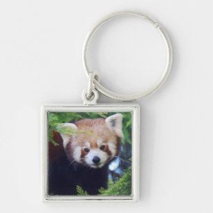 Red Panda Keychain