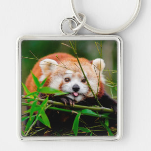 Red Panda Keychain