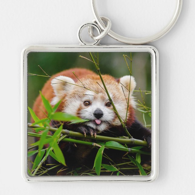 Red Panda Keychain (Front)