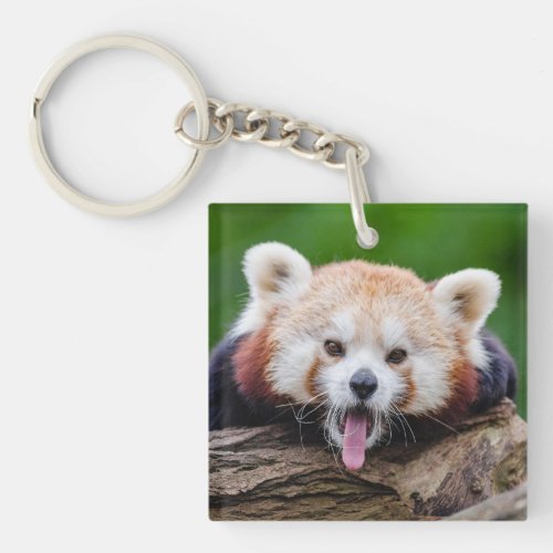 Red Panda Keychain