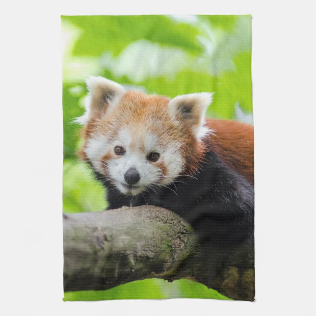 Red Panda  Kitchen Towel (Vertical)