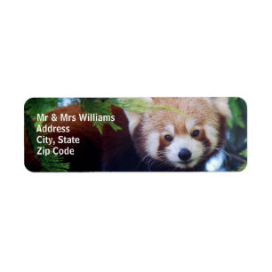 Red Panda Label