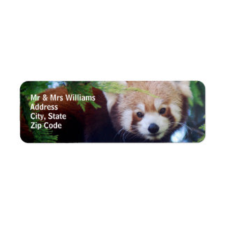 Red Panda Label