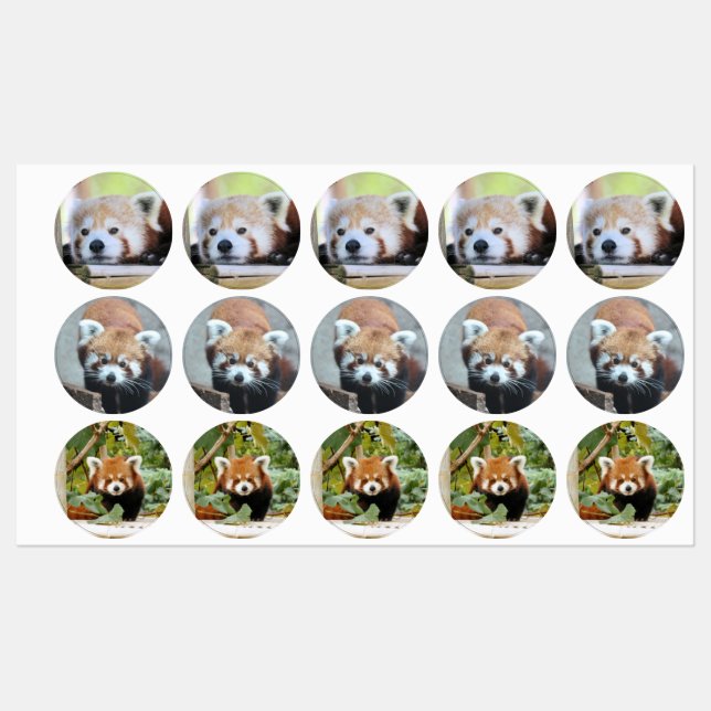Red panda labels (Sheet)