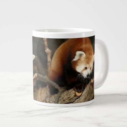 Red Panda Large Coffee Mug