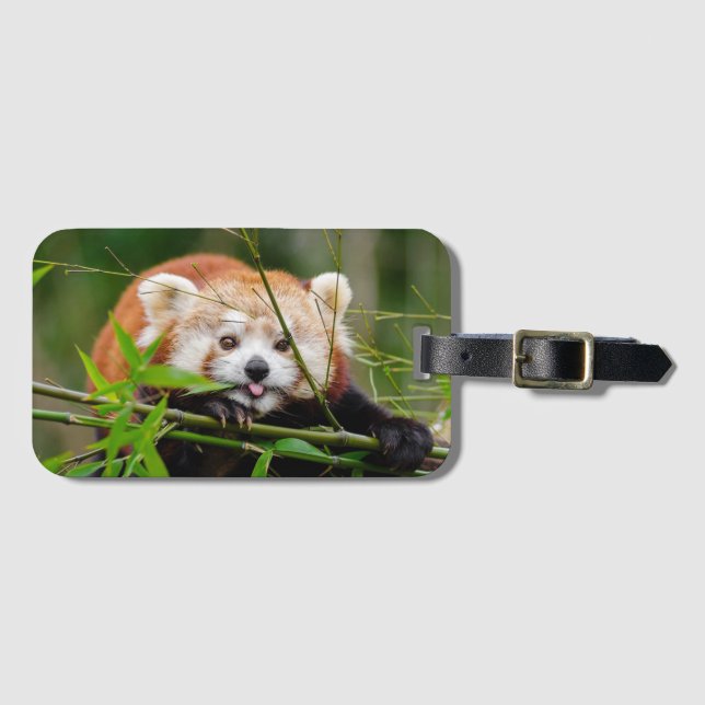 Red Panda Luggage Tag (Front Horizontal)
