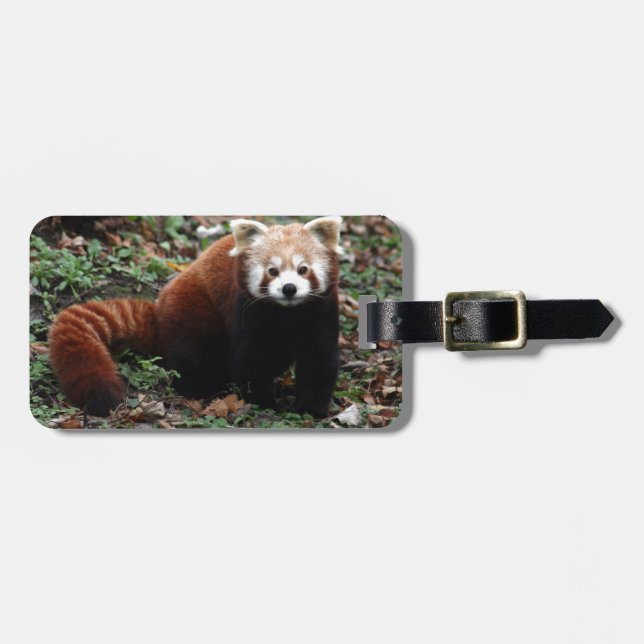 Red Panda Luggage Tag (Front Horizontal)