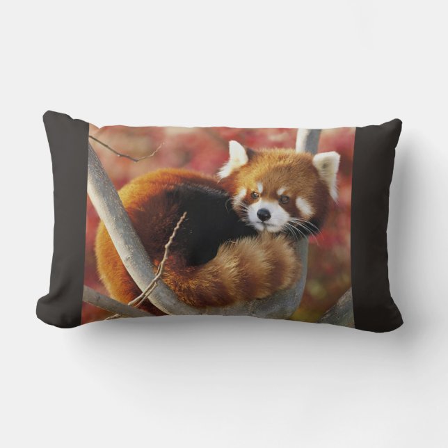 Red Panda Lumbar Pillow (Front)