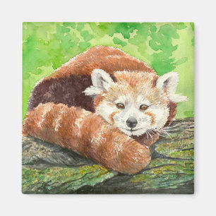 Red panda magnet