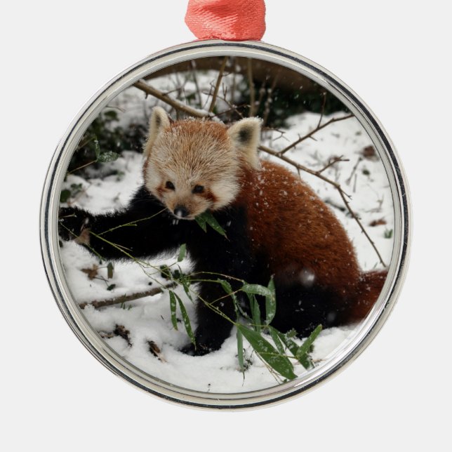 Red Panda Metal Ornament (Front)