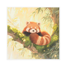 Red Panda