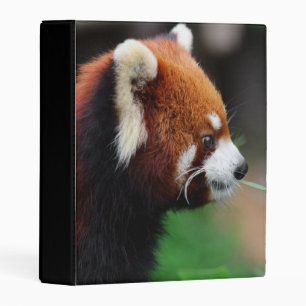Red panda mini binder
