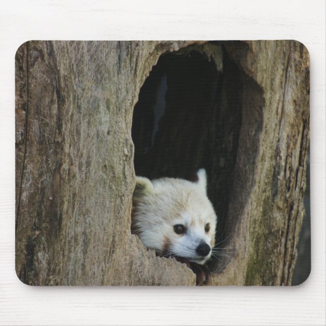 Red Panda Mouse Pad (Front)