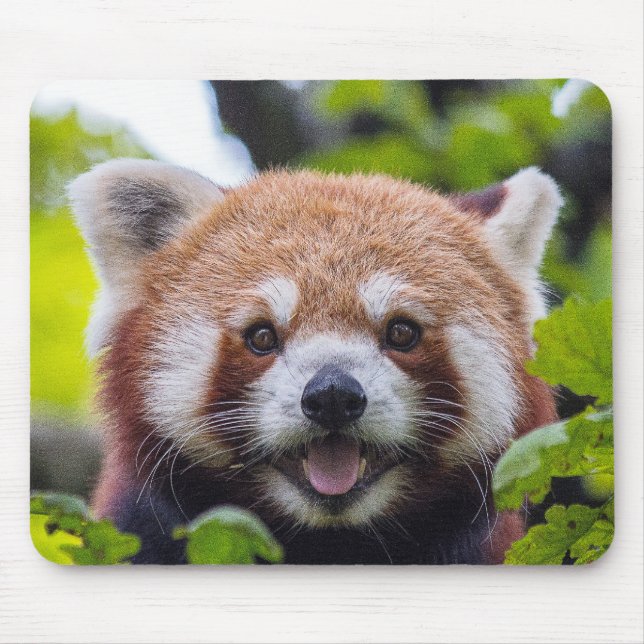 Red Panda Mouse Pad (Front)