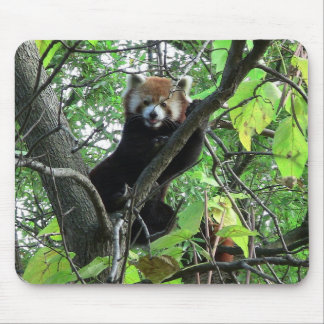 Red Panda Mouse Pad