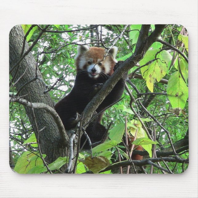 Red Panda Mouse Pad (Front)