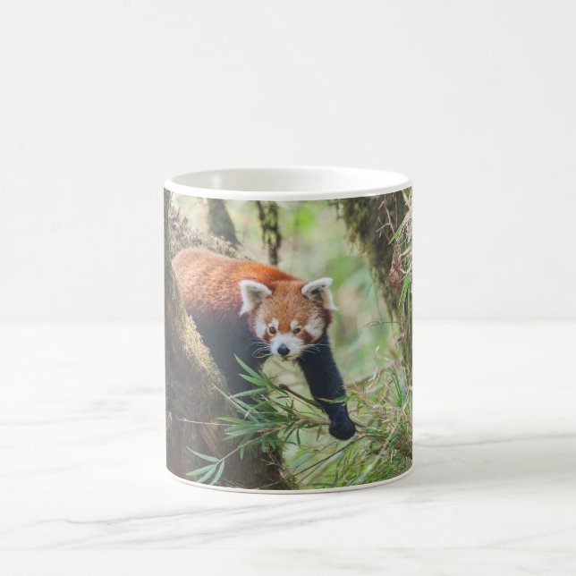 Red Panda Mug (Center)