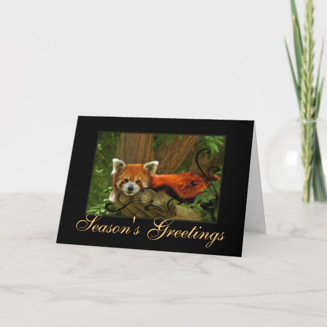 Red Panda Nature Seasons Greetings Holiday Card (Front)