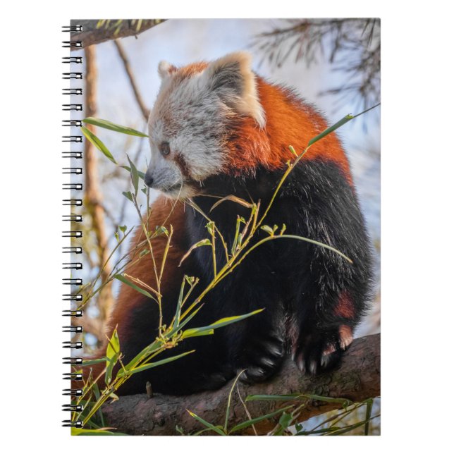 Red panda notebook (Front)