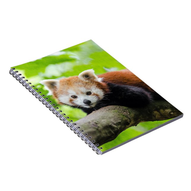 Red Panda Notebook (Right Side)