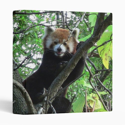 Red Panda Notebook Binder