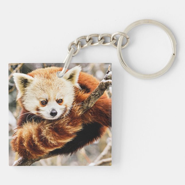 Red panda on a tree limb keychain (Back)