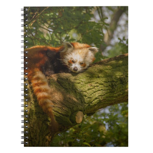 RED PANDA ON GREEN TREE BRANCH NOTEBOOK (Front)