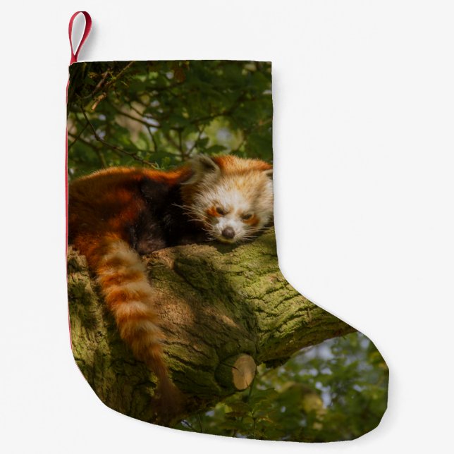RED PANDA ON GREEN TREE BRANCH SMALL CHRISTMAS STOCKING (Front)