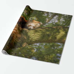 RED PANDA ON GREEN TREE BRANCH WRAPPING PAPER