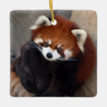 Red Panda Ornament at Zazzle