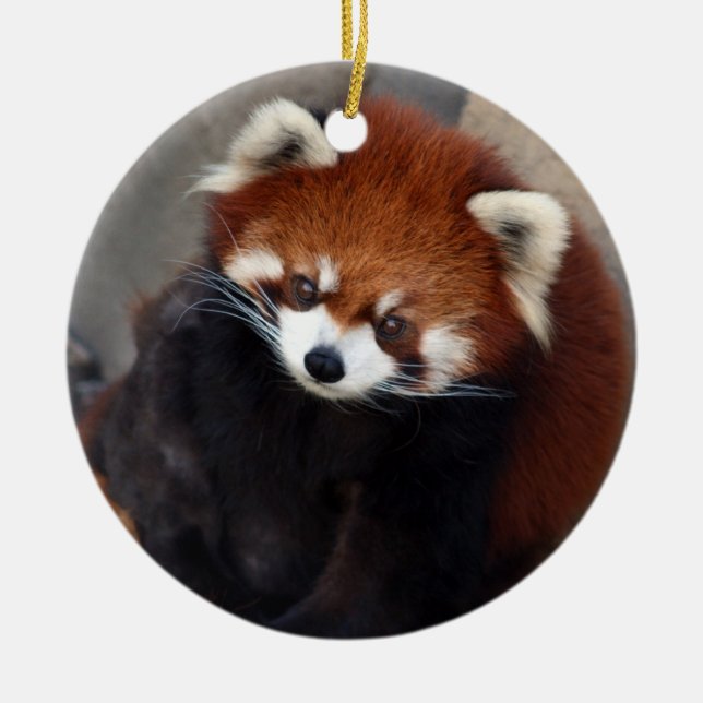 Red Panda Ornament (Front)