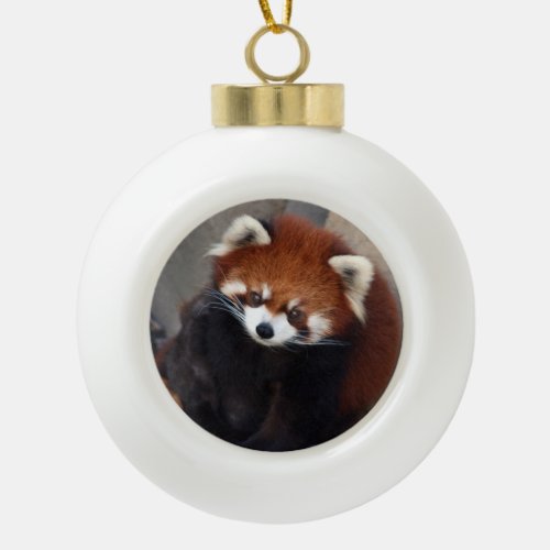Red Panda Ornament
