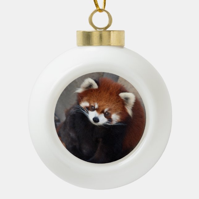 Red Panda Ornament (Front)
