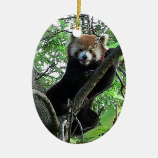 Red Panda Ornament ~ Endangered Species Series