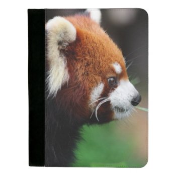 Red Panda Padfolio by wildlifecollection at Zazzle