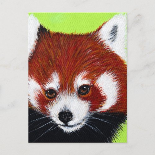 Red Panda Painting Postcard