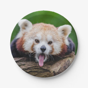 Red Panda Paper Plates