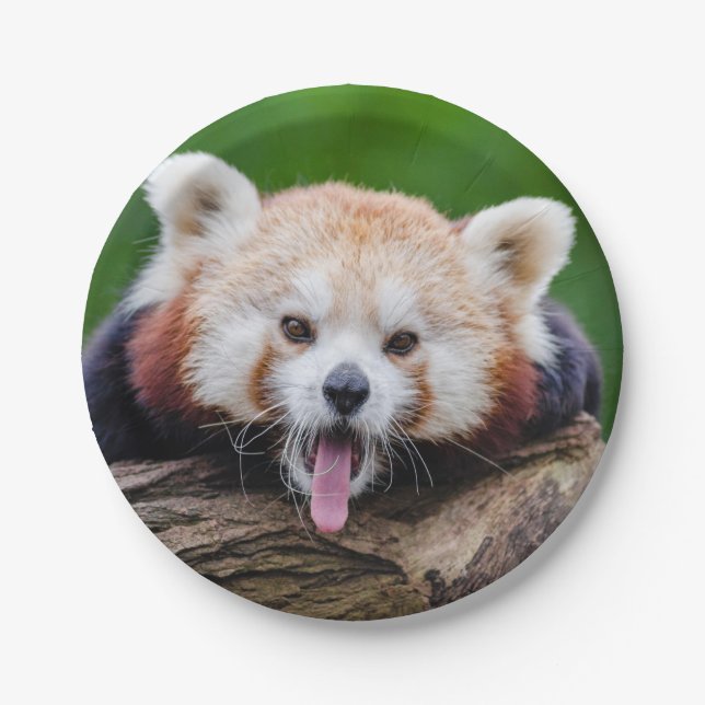 Red Panda Paper Plates (Front)