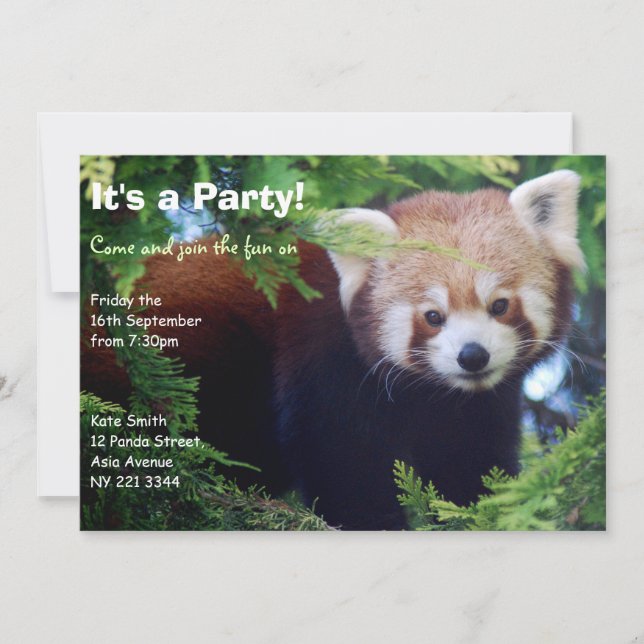 Red Panda Party Invitation (Front)