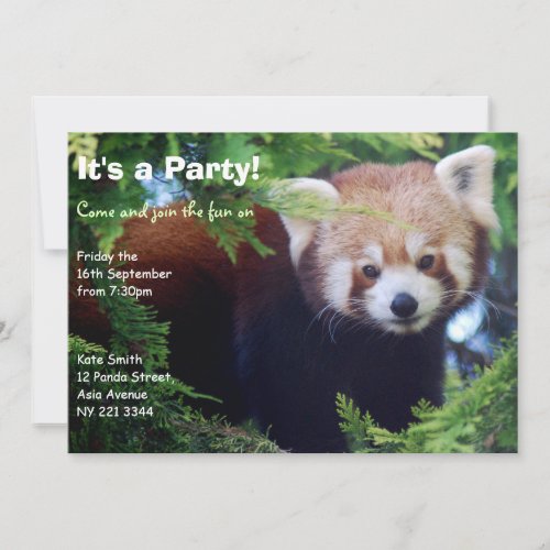 Red Panda Party Invitation