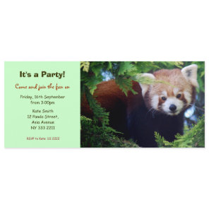 Red Panda Party Invitation