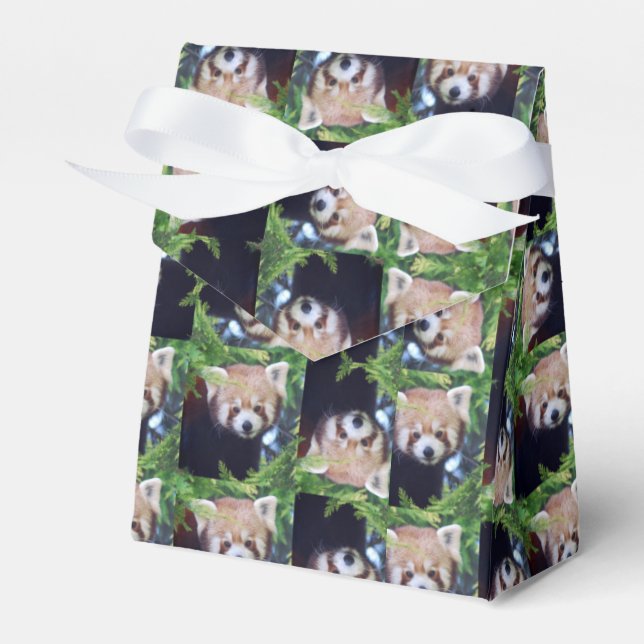Red Panda Pattern Favor Boxes (Front Side)