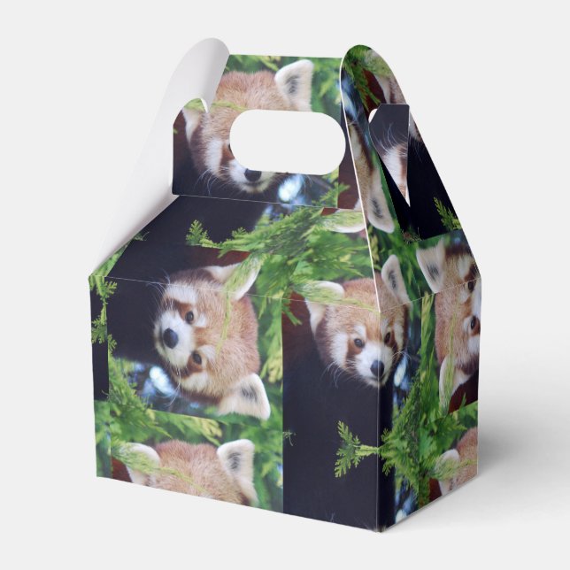 Red Panda Pattern Favor Boxes (Front Side)