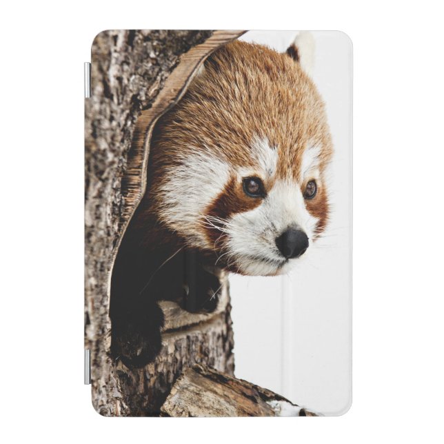 Red Panda Peek-a-Boo iPad Mini Cover (Front)